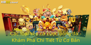 Cac Loai Keo Ca Cuoc Bong A Kham Pha Chi Tiet Tu Co Ban En Nang Cao Tai Hb88