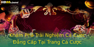 Kham Pha Trai Nghiem Ca Cuoc Ang Cap Tai Trang Ca Cuoc Bong A Hb88