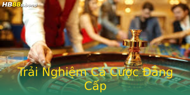 Trải Nghiệm Cá Cược Đẳng Cấp